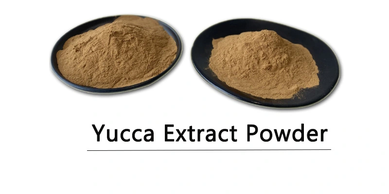 Yucca Extract Powder.jpg